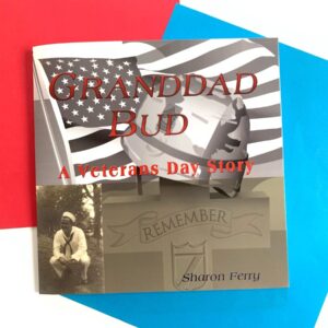 Image of veterans day book cover showing a sailor in the bottom left corner and an american flag across the cover with a cross gravestone that says "remember"