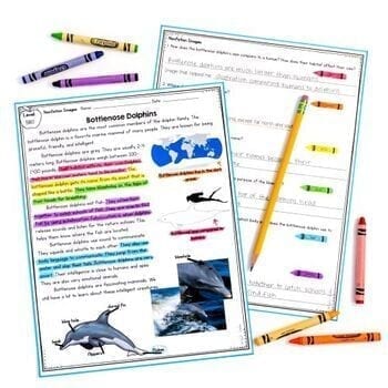 2nd Grade Reading Comprehension Passages & Questions MEGA Bundle Lexile Leveled - Image 2