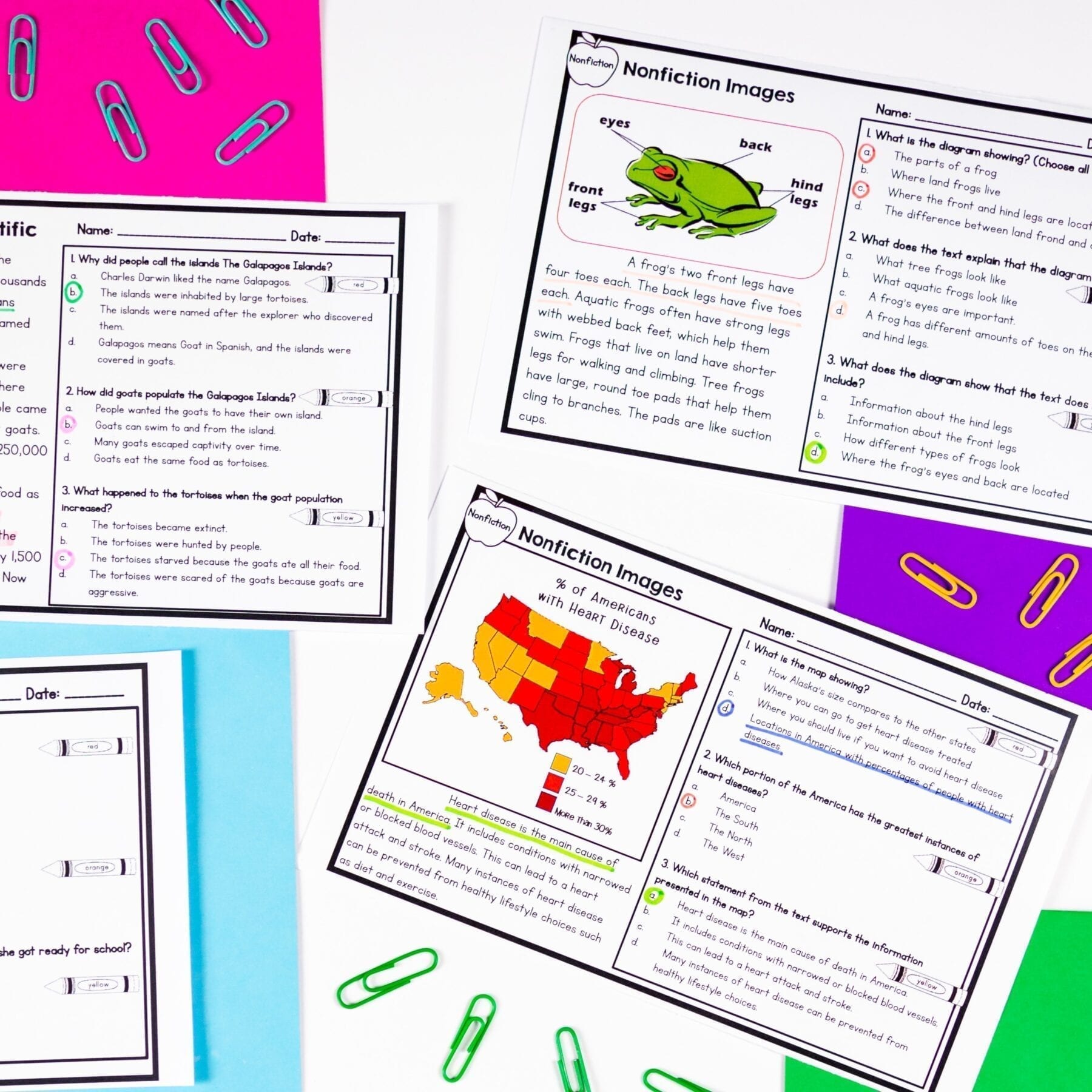 2nd Grade Reading Comprehension Exit Tickets Slips Literature Informational Text - Image 3
