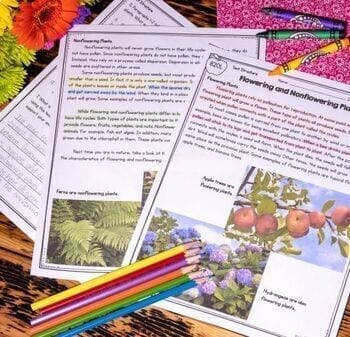 4th Grade Reading Comprehension Passages & Questions Mega Bundle Lexile Leveled - Image 2