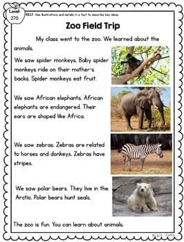 Describe Key Ideas Using Illustrations & Details Reading Passages RI1.7 RI.1.7 - Image 3