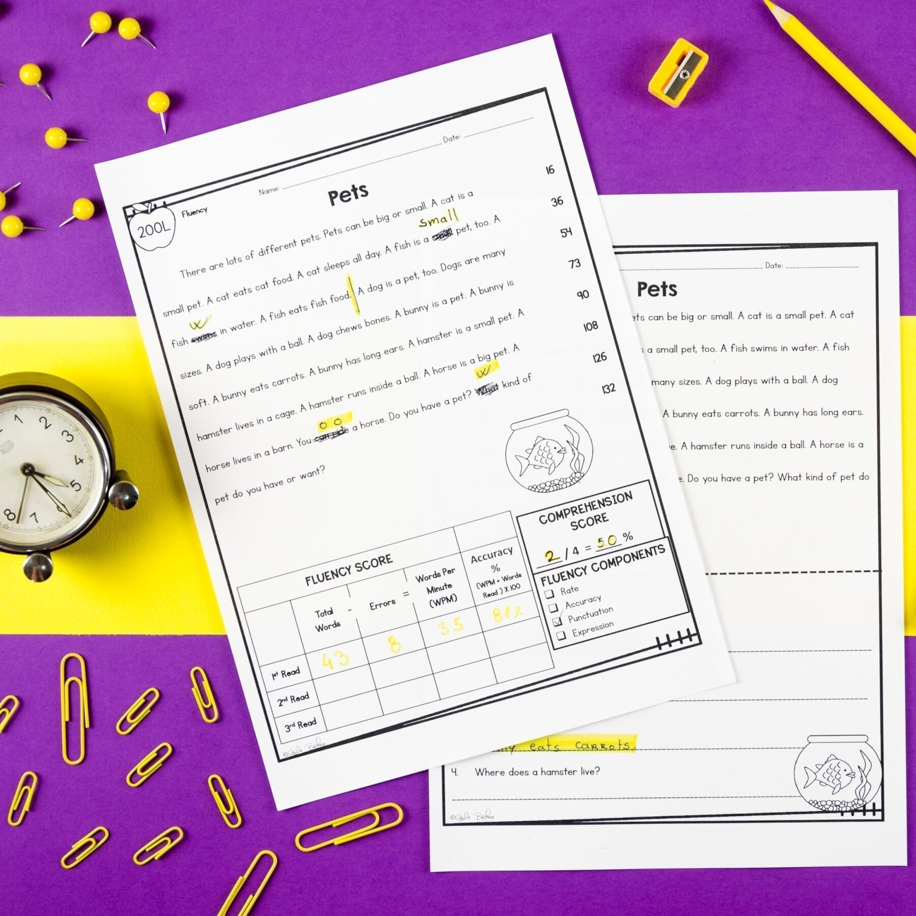1st Grade Reading Fluency Passages Practice Reading Comprehension Questions - Image 2