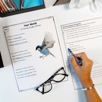 2nd Grade Benchmark Reading Assessments - Passages, Questions & Data w/DIGITAL - Image 4