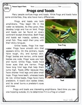 Reasons Support Author's Point - 2nd Grade RI.2.8 - Reading Passages for RI2.8 - Image 2