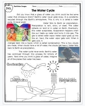 Nonfiction Text Features Reading Comprehension Passages Questions RI.2.7 RI.3.7 - Image 2