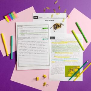 ? 6th Grade Reading Comprehension