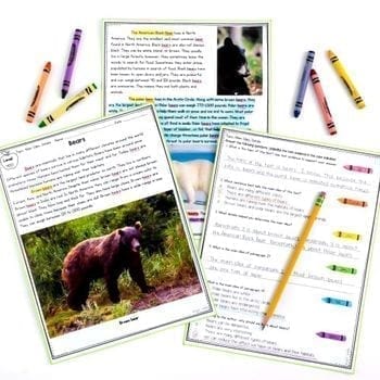 Main Idea Details Reading Comprehension Differentiated Bundle Passages Worksheet - Image 2