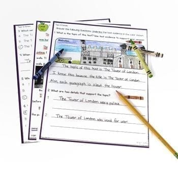 Main Idea Details Reading Comprehension Differentiated Bundle Passages Worksheet - Image 4