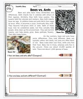 Making Connections Reading Comprehension Passages and Questions RI.2.3 RI.3.3 - Image 3