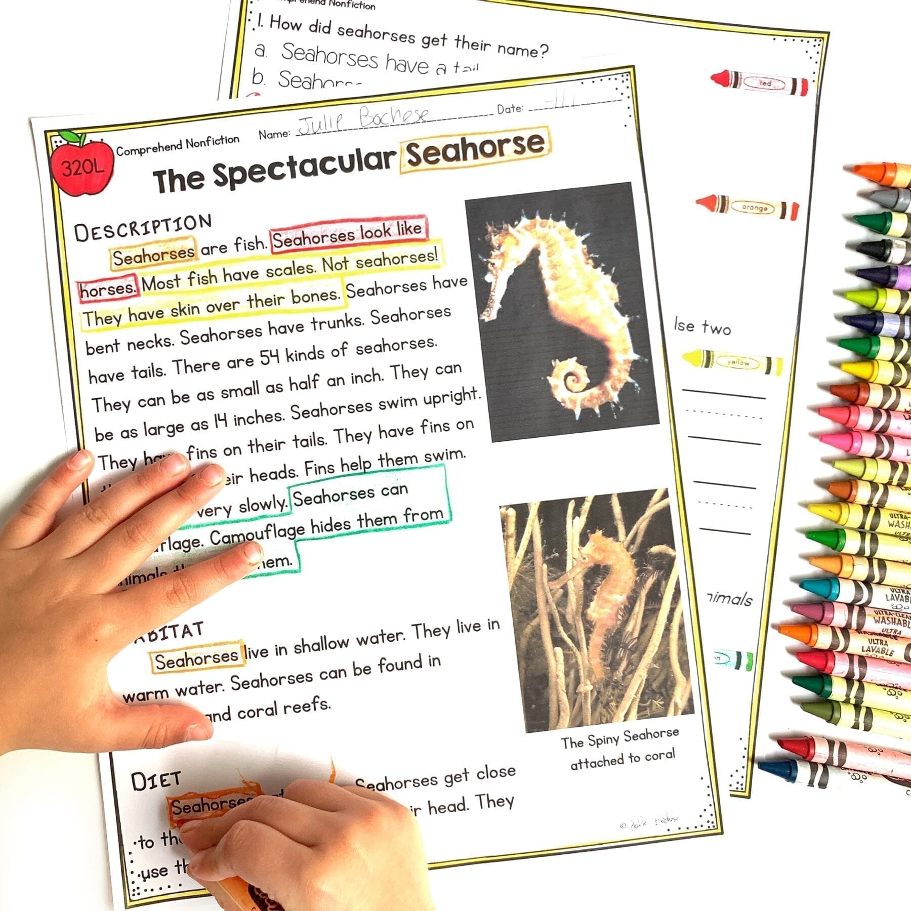 1st Grade Reading Comprehension MEGA Bundle Lexile Leveled Passages & Questions - Image 6