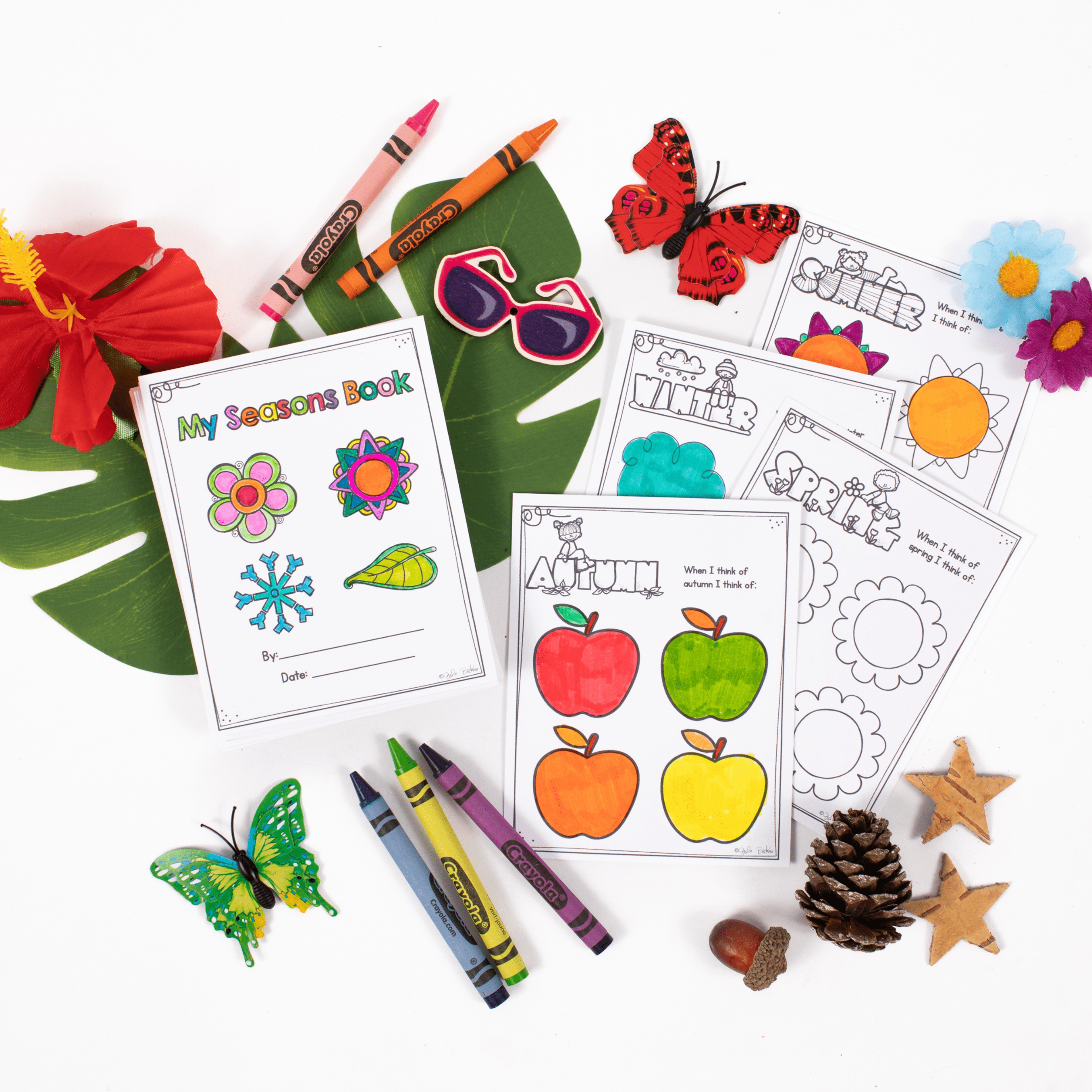 4 Seasons of the Year Weather - 1st & 2nd Grade Science Activities Worksheets - Image 3