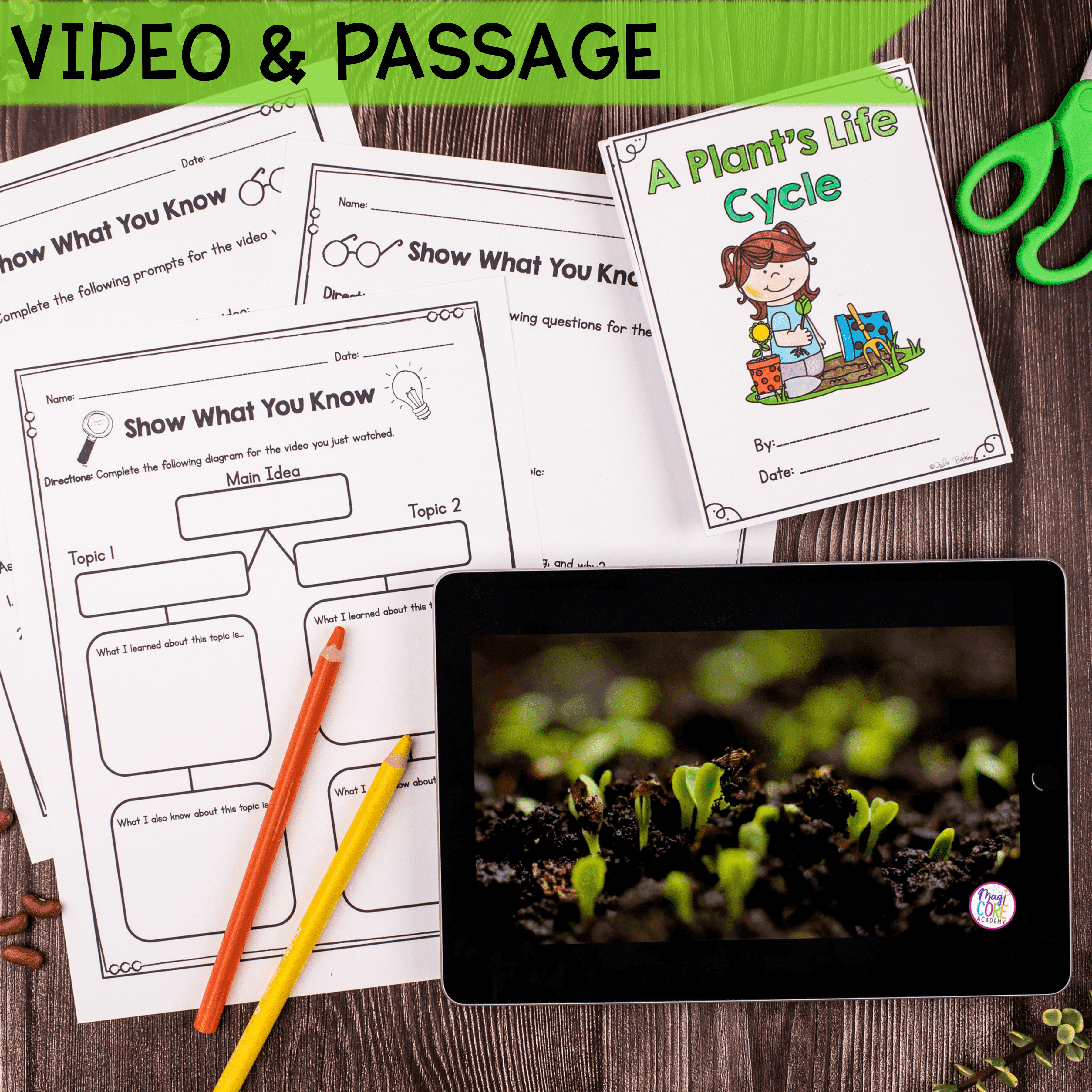 Plant Life Cycle 1st & 2nd Grade Science Unit Worksheets Activities Experiments - Image 2