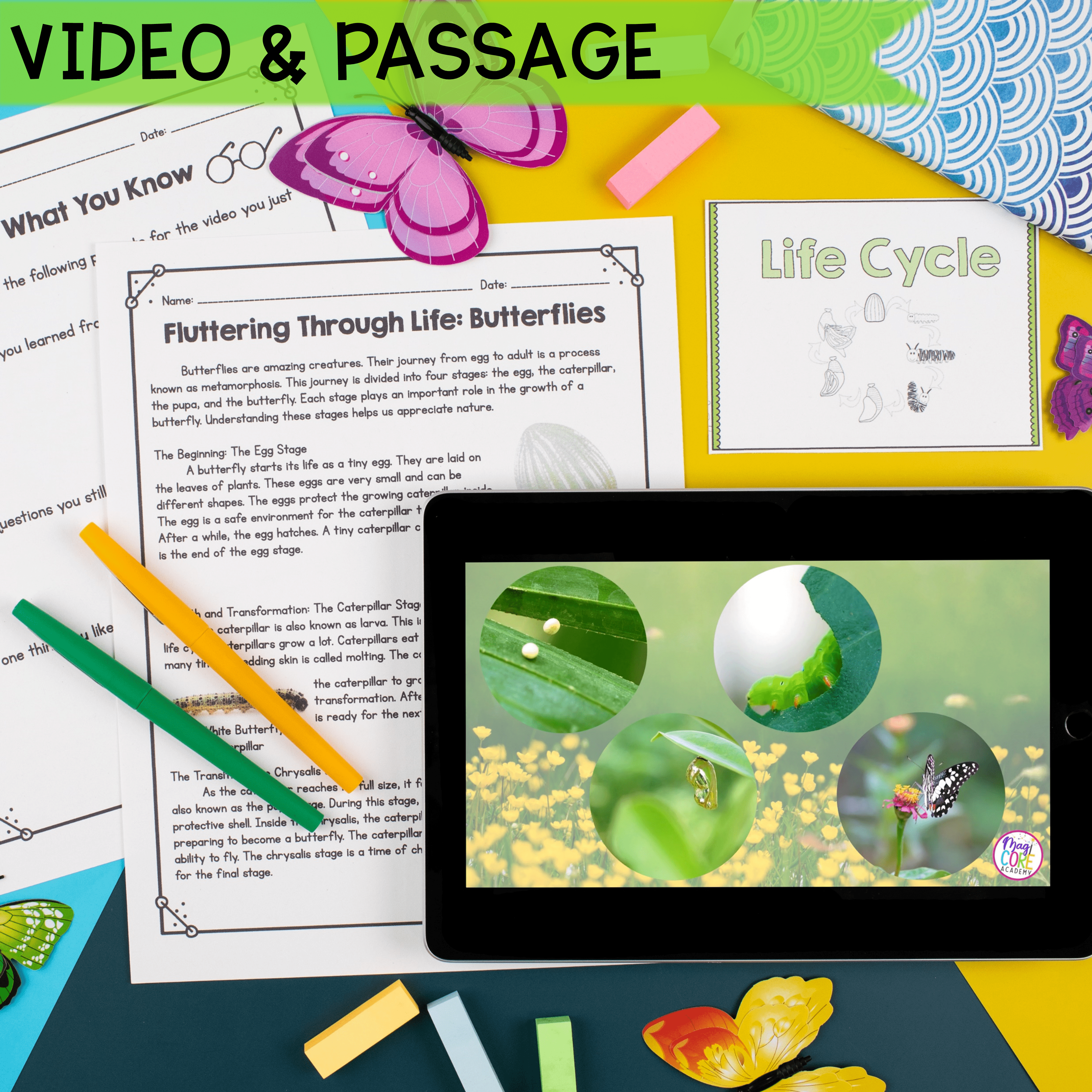 Butterfly Lifecycle - 1st & 2nd Grade Science Unit Activities Worksheets Unit - Image 2