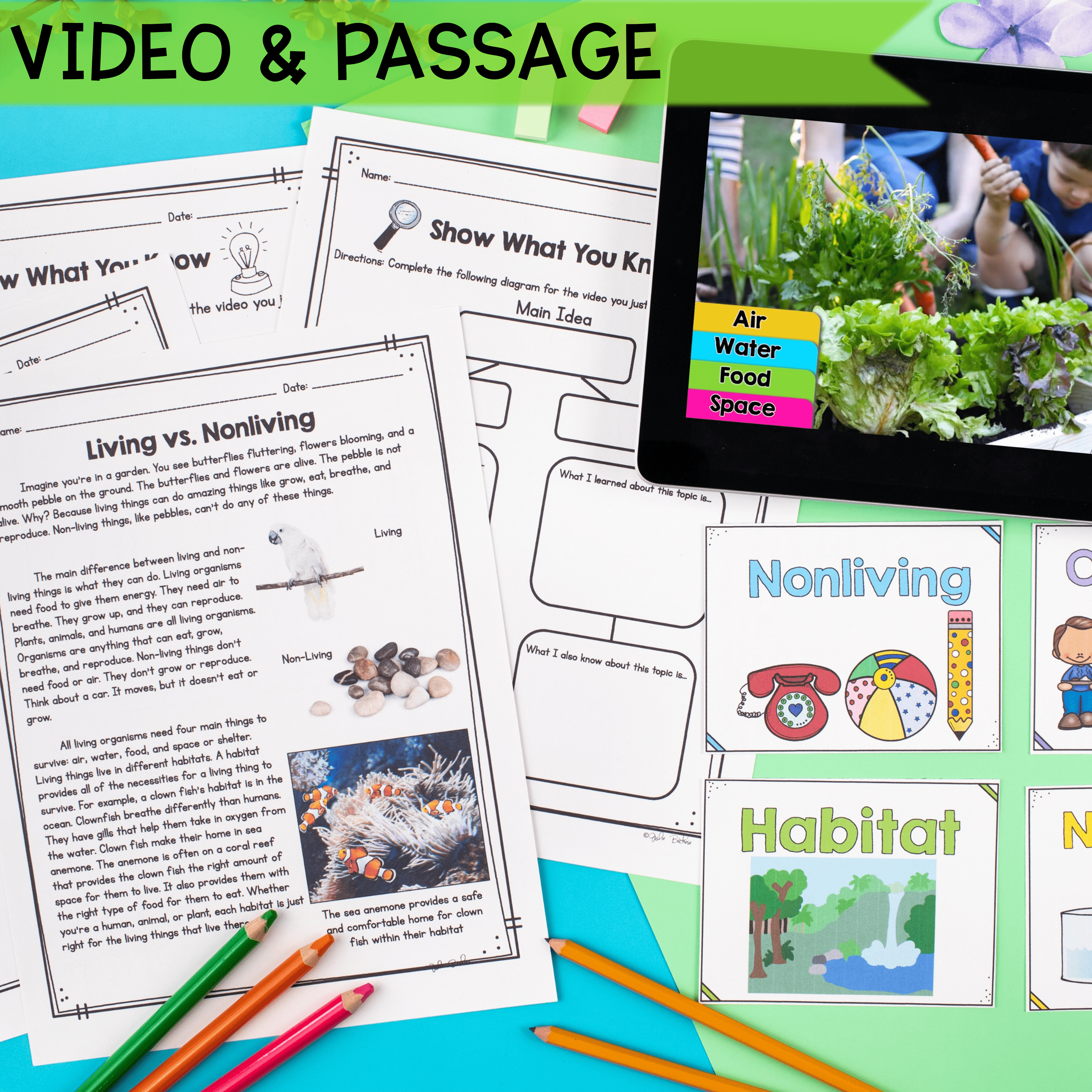 Living Organisms - 1st & 2nd Grade Science Unit - Printable & Digital - Image 2
