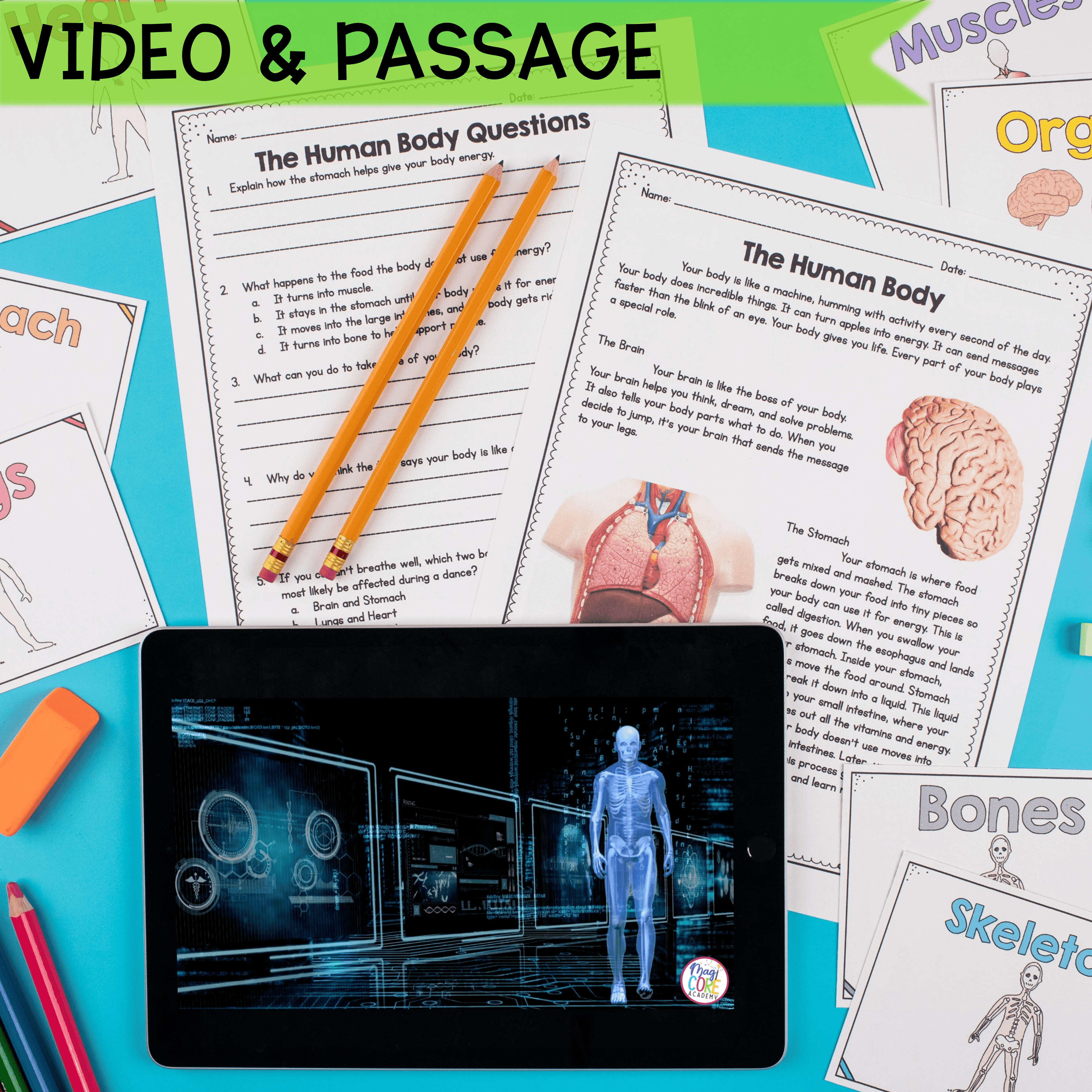 Human Body Systems Activities Worksheets Explorations 1st 2nd Grade Science Unit - Image 2