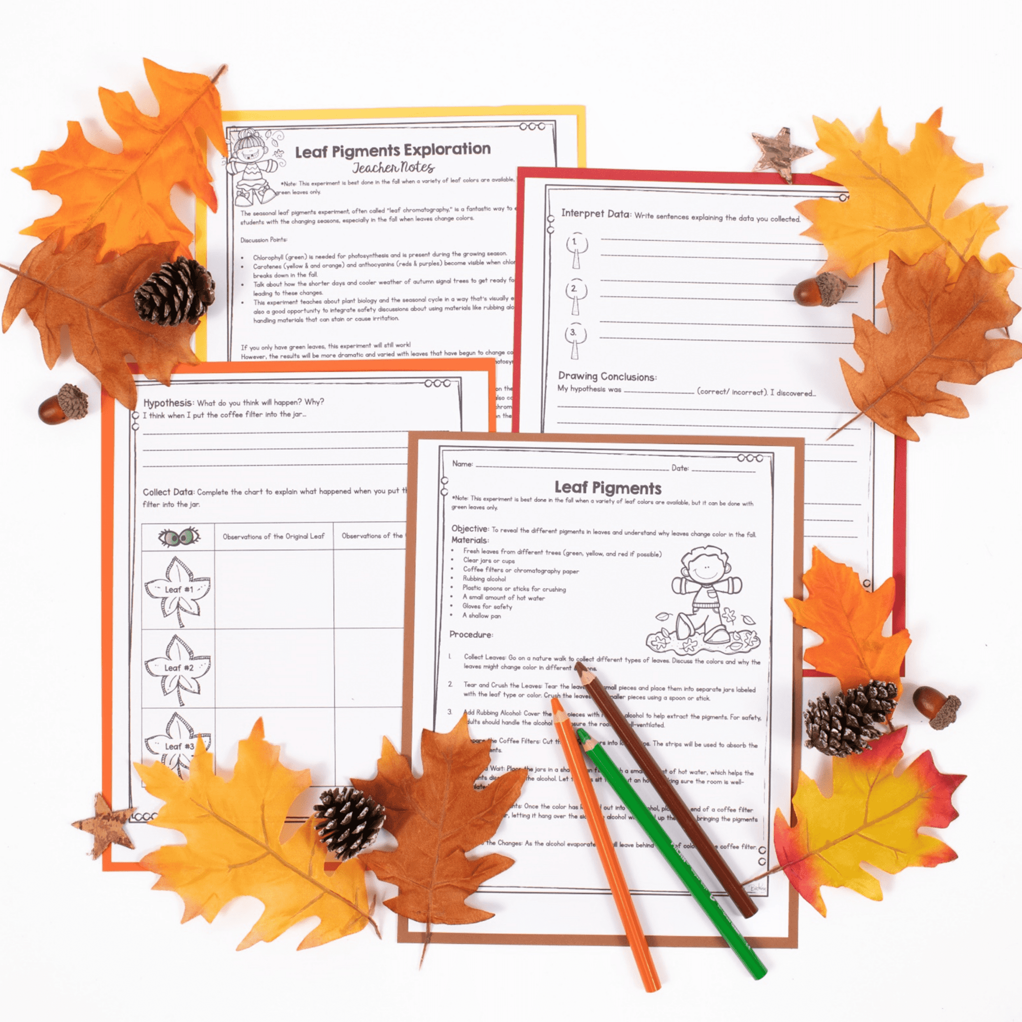 4 Seasons of the Year Weather - 1st & 2nd Grade Science Activities Worksheets - Image 4