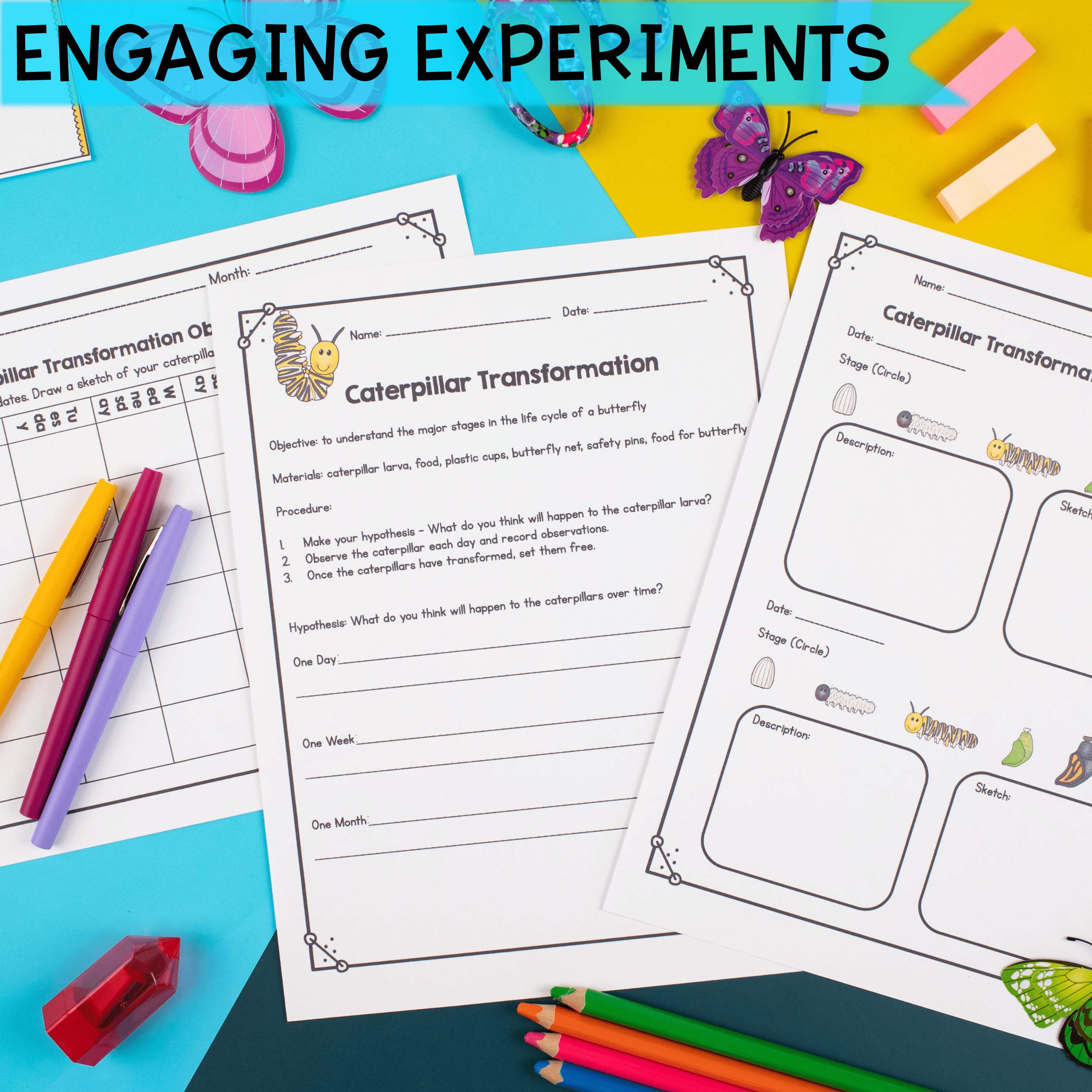 Butterfly Lifecycle - 1st & 2nd Grade Science Unit Activities Worksheets Unit - Image 3