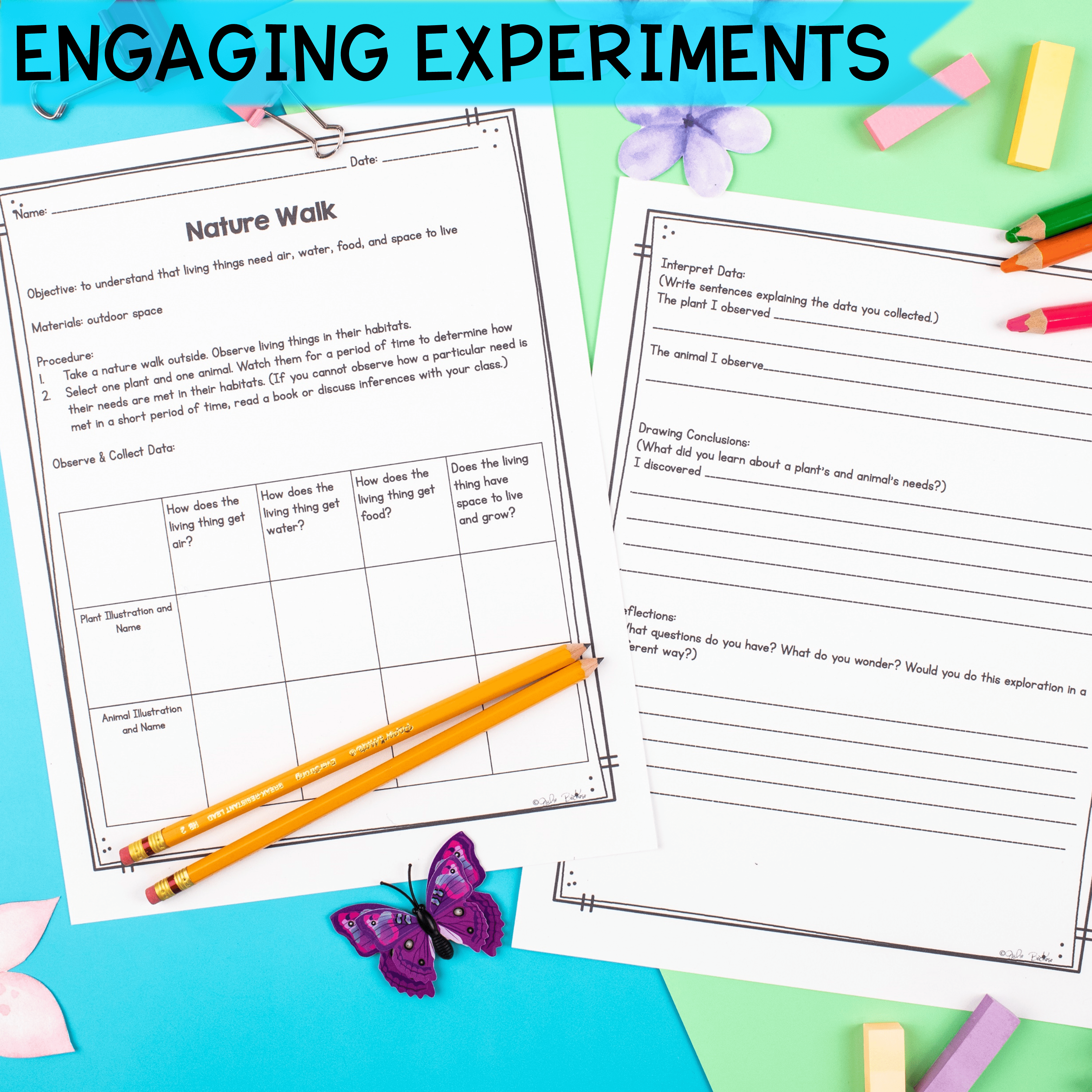Living Organisms - 1st & 2nd Grade Science Unit - Printable & Digital - Image 3