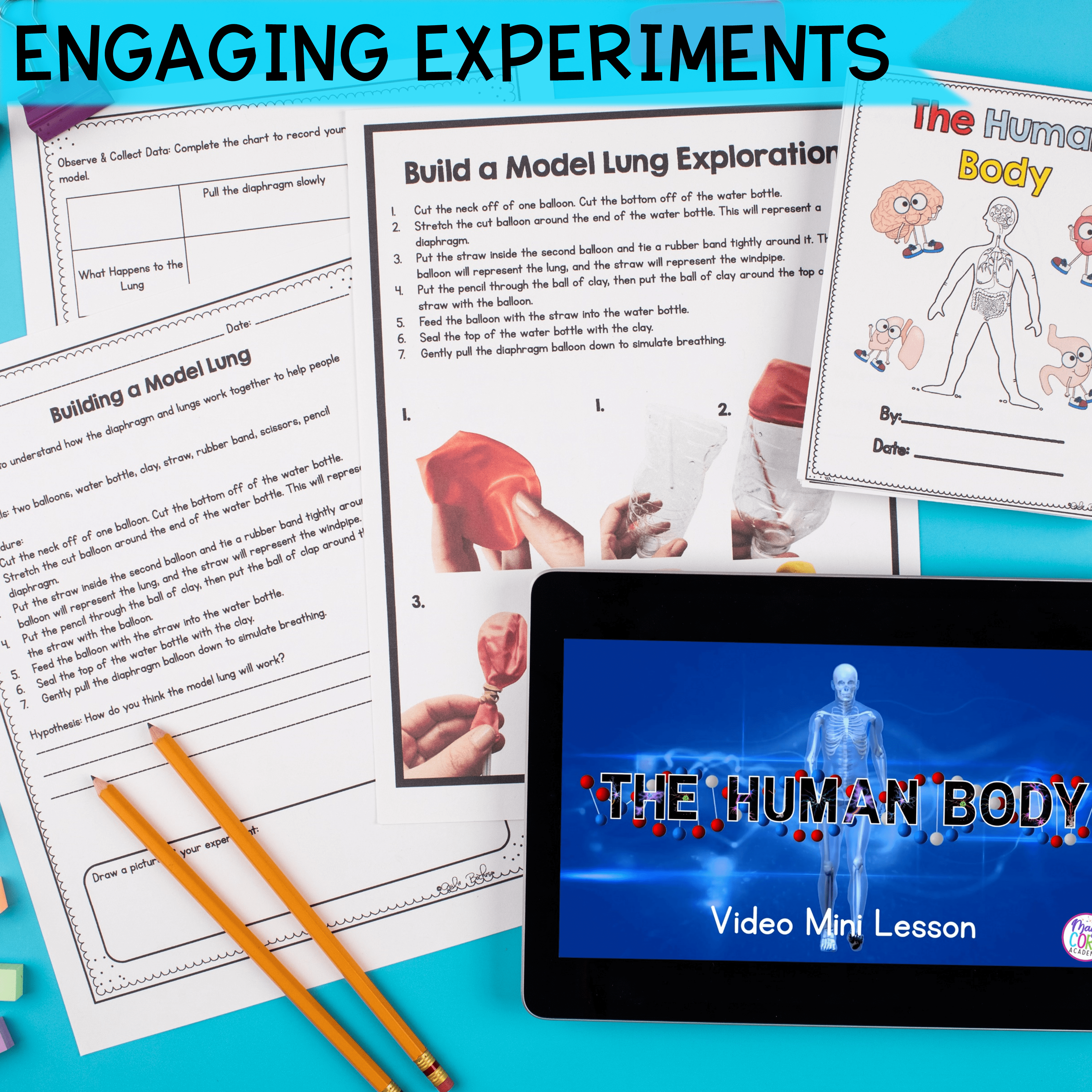 Human Body Systems Activities Worksheets Explorations 1st 2nd Grade Science Unit - Image 3