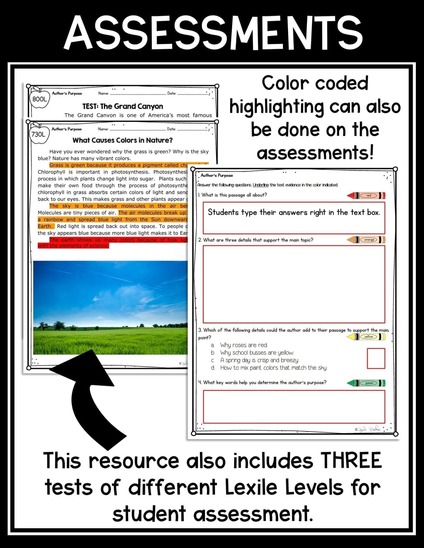 Author's Purpose - 2nd Grade RI.2.6 - Reading Comprehension Passages Worksheets - Image 6