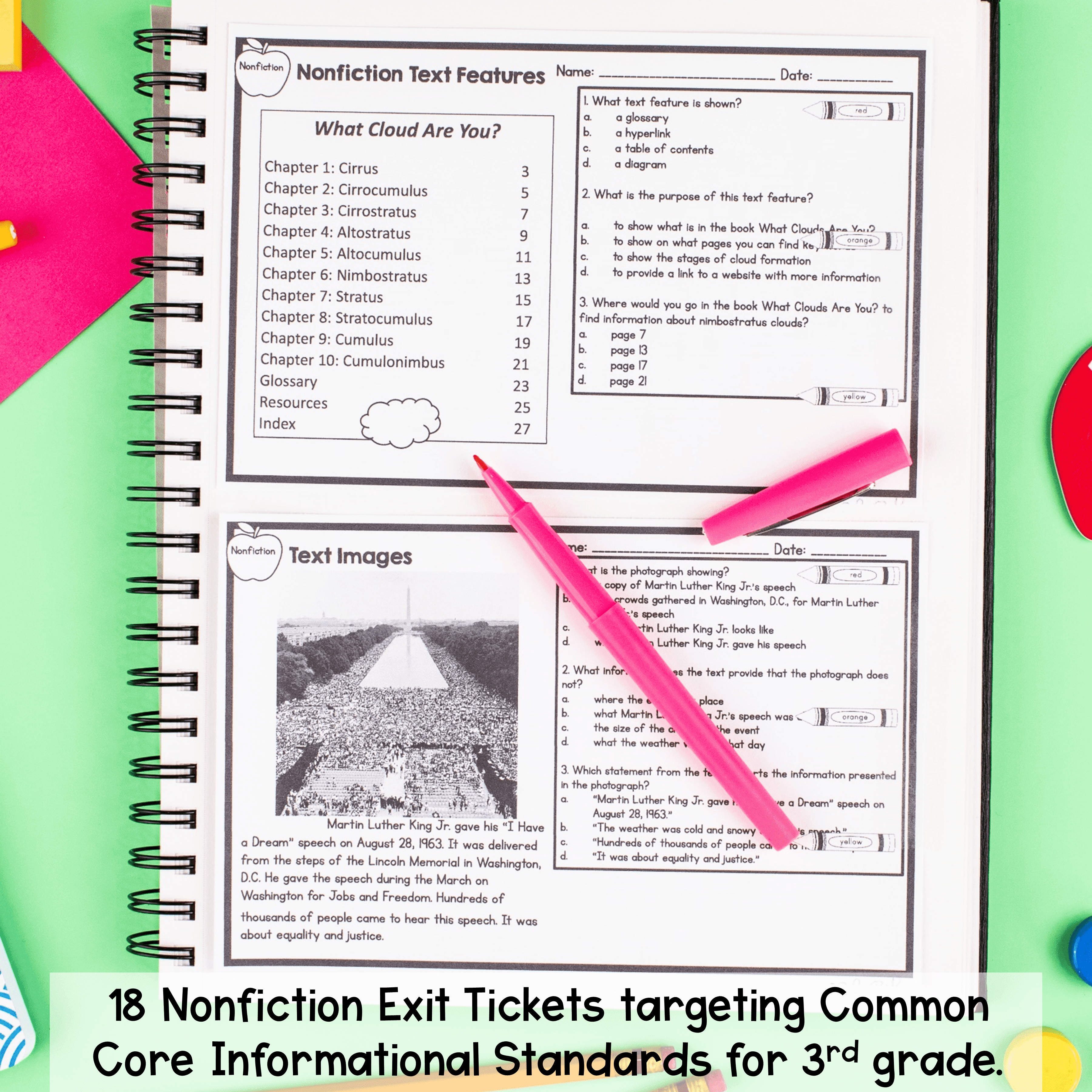3rd Grade Reading Comprehension Exit Tickets Slips Literature Informational Text - Image 4