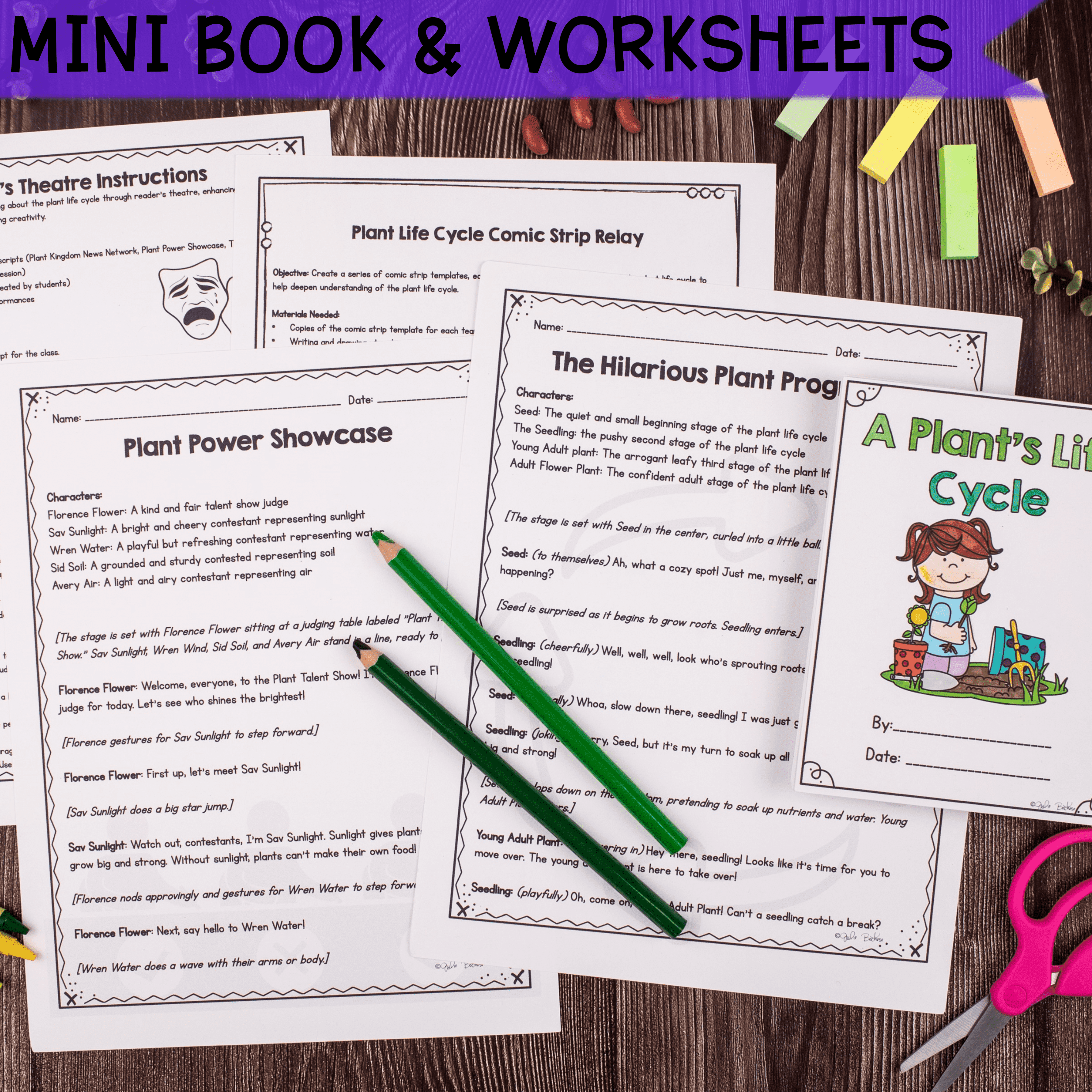 Plant Life Cycle 1st & 2nd Grade Science Unit Worksheets Activities Experiments - Image 4
