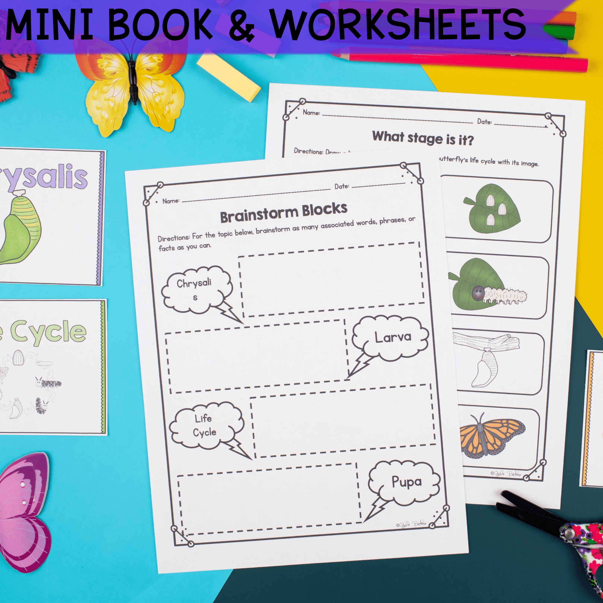 Butterfly Lifecycle - 1st & 2nd Grade Science Unit Activities Worksheets Unit - Image 4