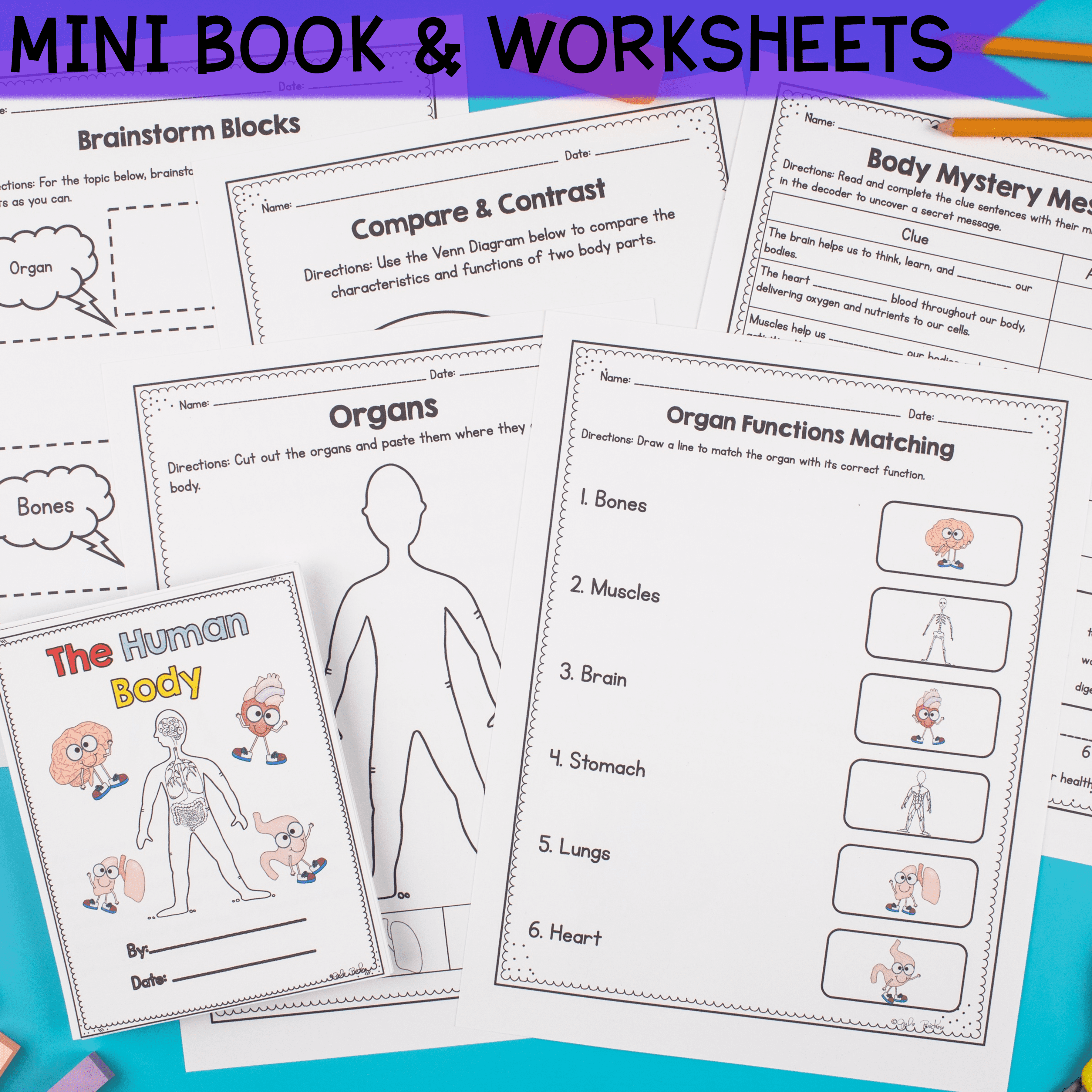 Human Body Systems Activities Worksheets Explorations 1st 2nd Grade Science Unit - Image 4