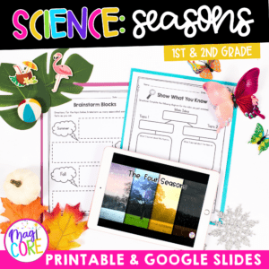 4 Seasons of the Year Weather - 1st & 2nd Grade Science Activities Worksheets