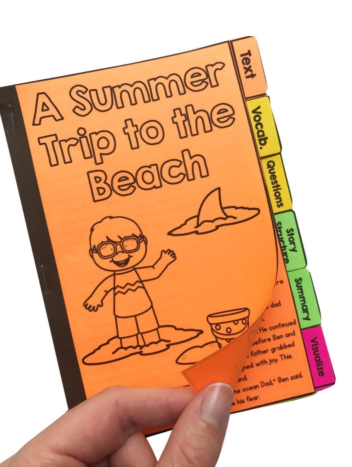 Summer Stories Comprehension Flip Book Activities - 2nd & 3rd grade - Image 3