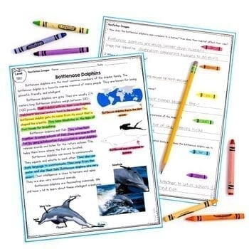 Text Features Reading Comprehension Differentiated Bundle - 2nd, 3rd, 4th Grade - Image 3