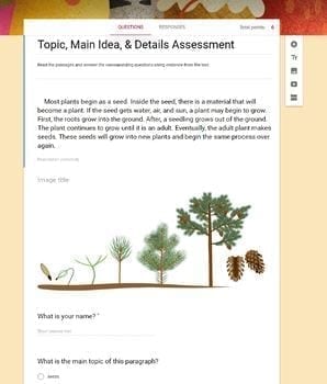 Topic, Main Idea, Details Google Digital Resource (2nd Grade) - Image 2