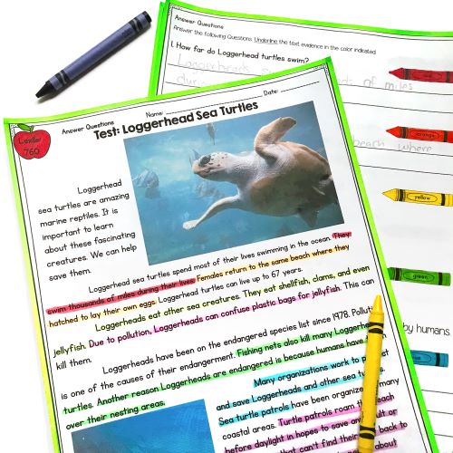 Ask & Answer Questions Nonfiction Reading Comprehension Passages - RI.2.1 RI.3.1 - Image 3