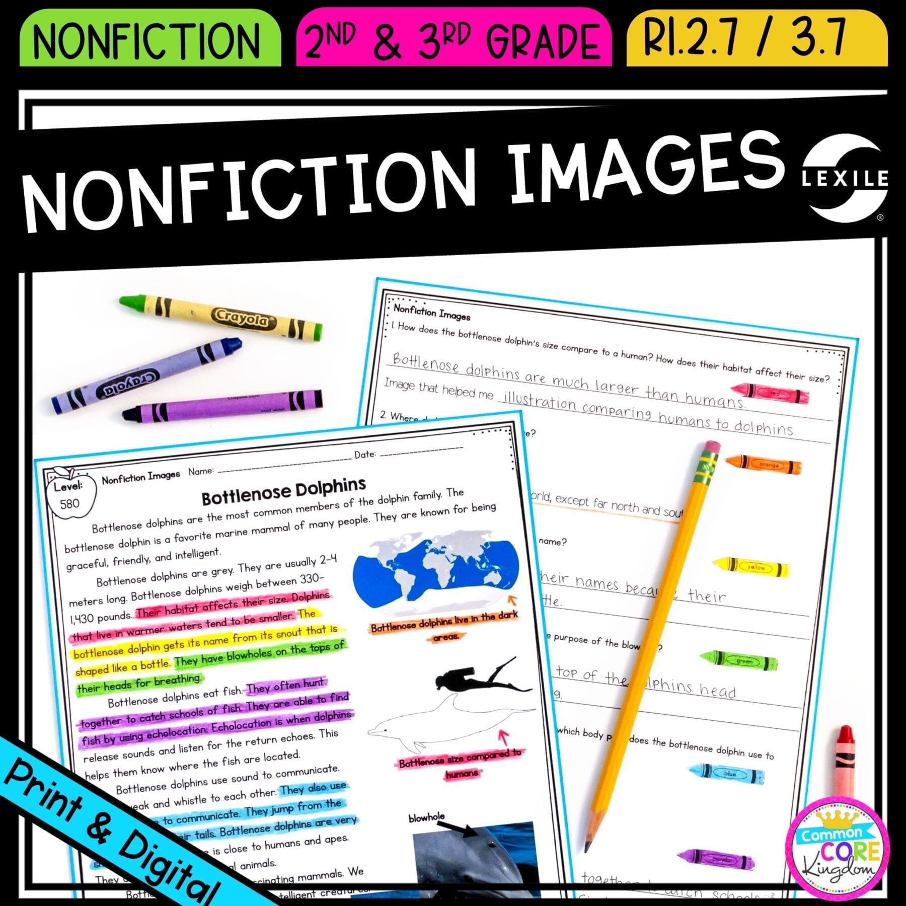 Nonfiction Text Features: Images for 2nd & 3rd grade cover showing printable and digital worksheets
