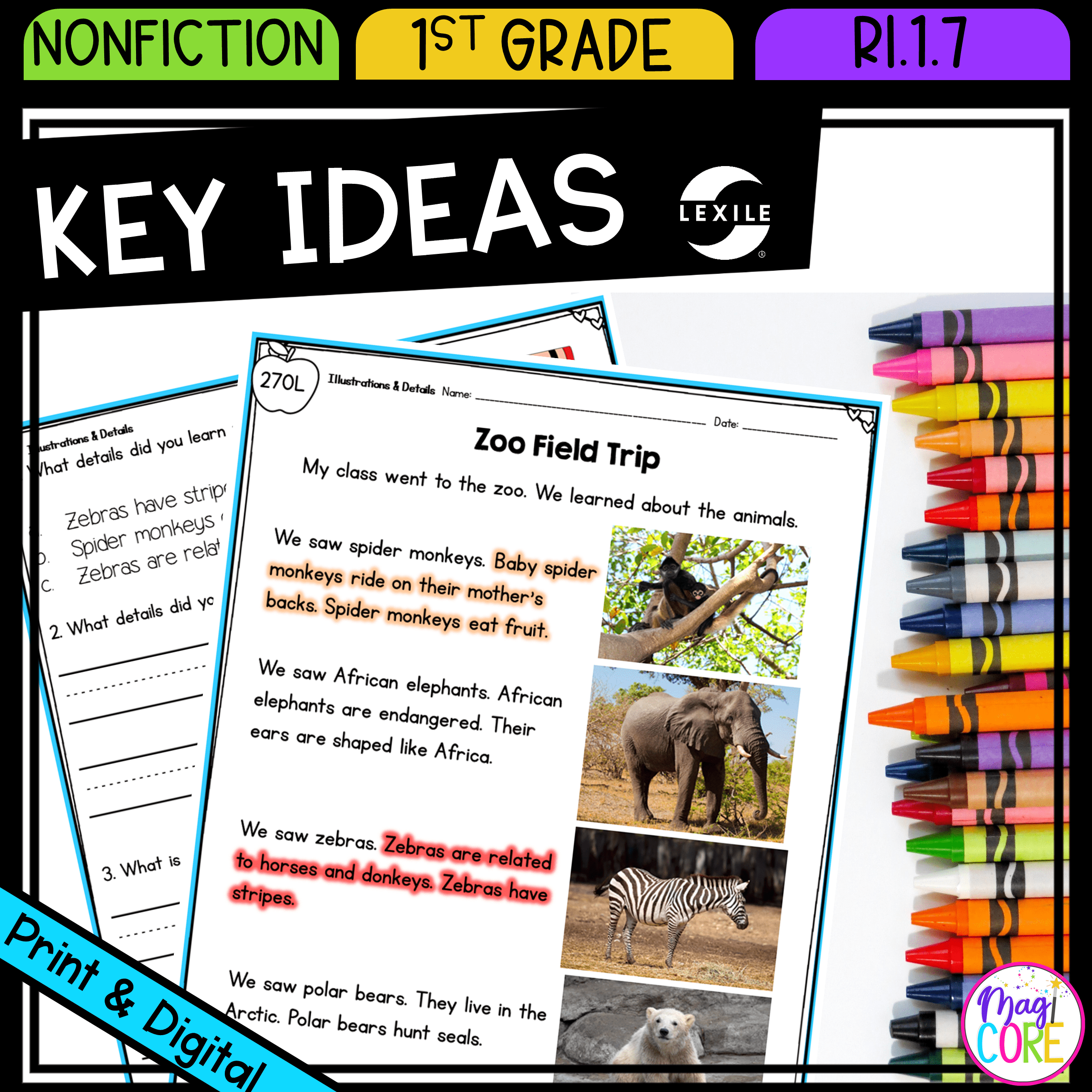 Describe Key Ideas Using Illustrations & Details RI.1.7 - Reading Passages RI1.7