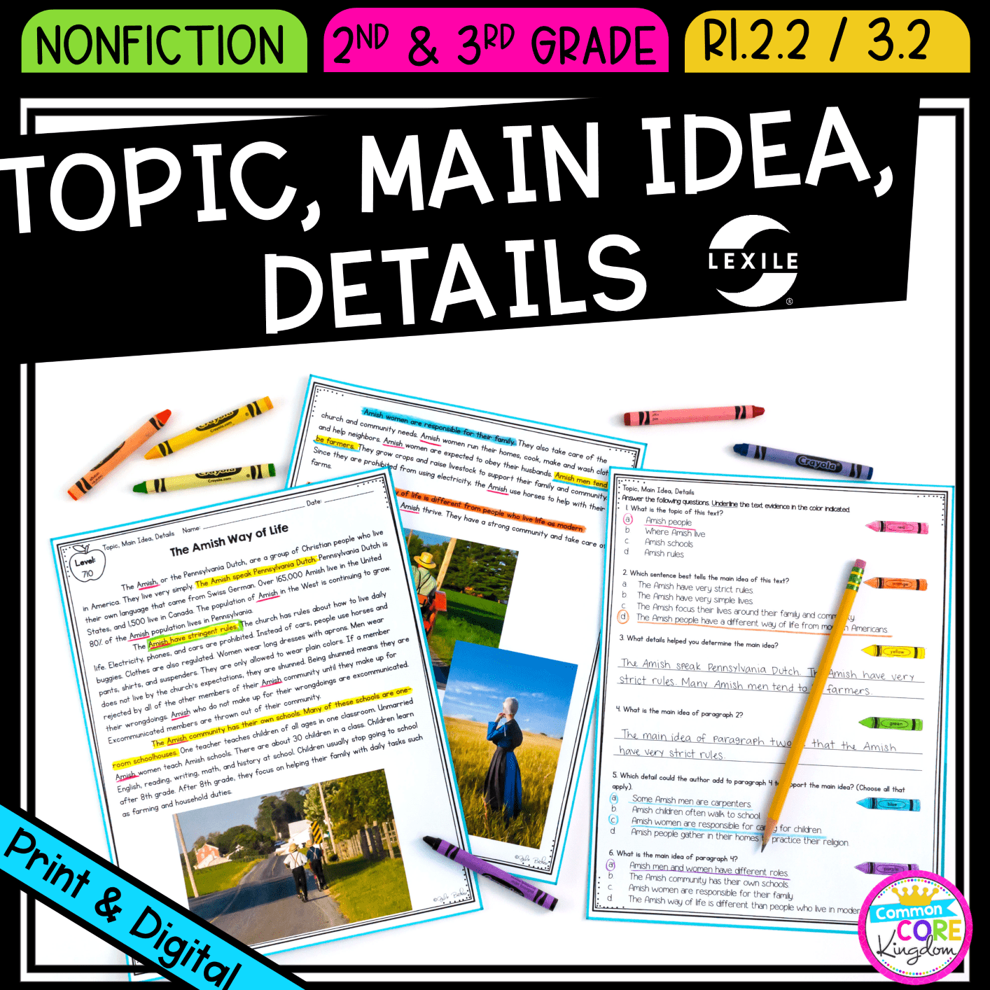Main Idea and Details for 2nd & 3rd grade cover showing printable and digital worksheets