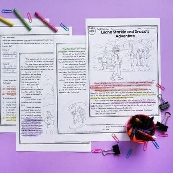 Illustrations & Text to Understand Stories Passages RL.2.7 RL.3.7 RL2.7 RL3.7 - Image 3