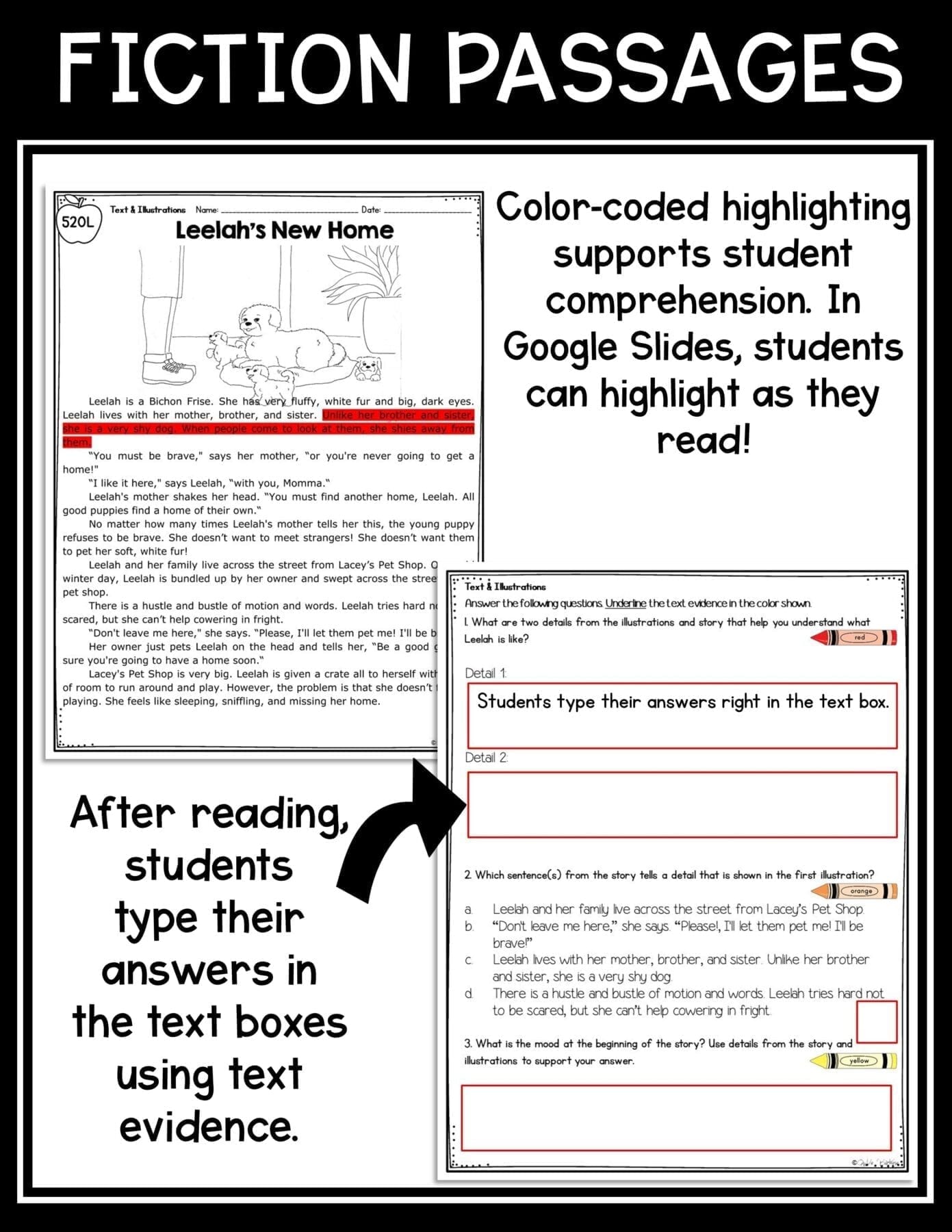 Illustrations & Text to Understand Stories Passages RL.2.7 RL.3.7 RL2.7 RL3.7 - Image 5