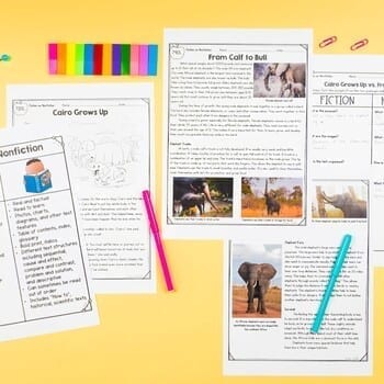 Fiction vs. Nonfiction 2nd & 3rd Grade Reading Comprehension Passages Questions - Image 3