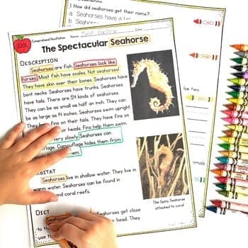 Comprehend Fiction 1st Grade Reading Comprehension Passages Questions Worksheets - Image 2