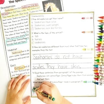 Comprehend Fiction 1st Grade Reading Comprehension Passages Questions Worksheets - Image 3