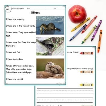 Reasons Support Author's Point 1st Grade RI.1.8 RI1.8 Reading Passages Worksheet - Image 2
