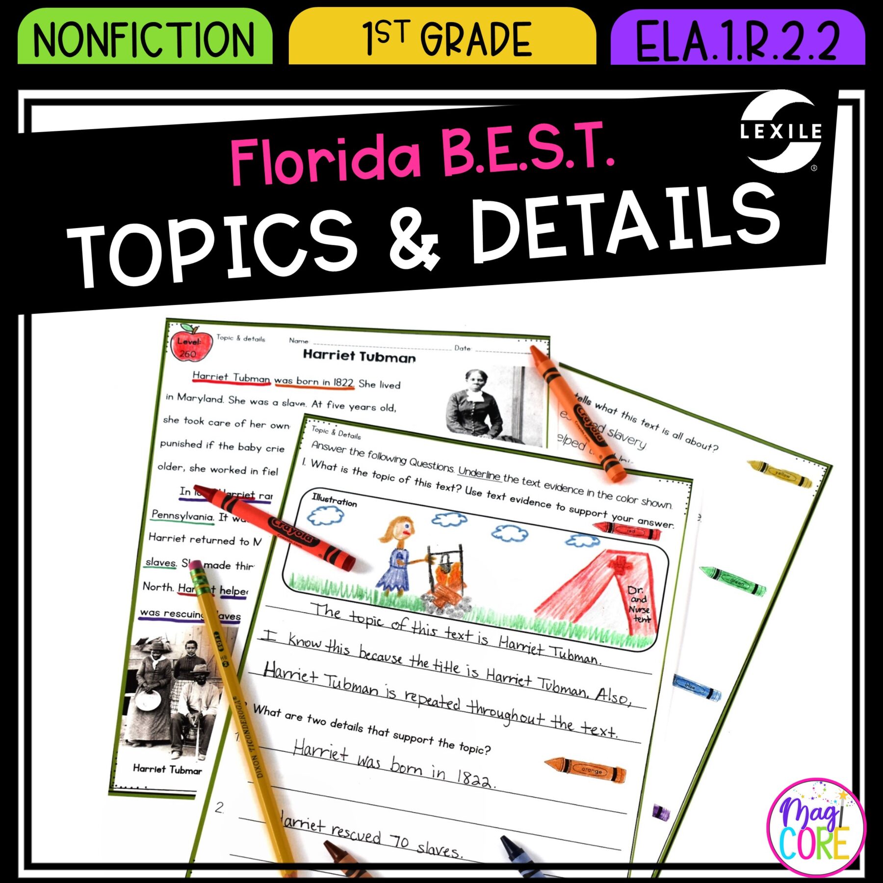 Main Topic & Details in Nonfiction - RI.1.2 - Printable & Digital RI1.2