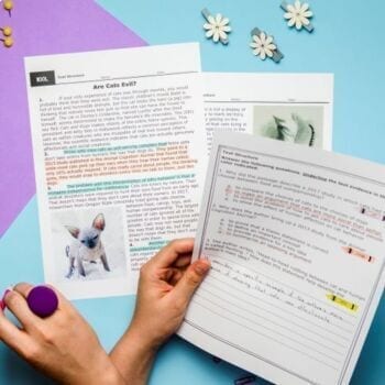 Nonfiction Text Structure - 6th Grade Reading Comprehension Passages ELA RI.6.5 - Image 3