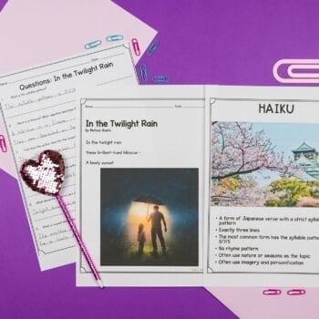 Types of Poems - Poetry Targeted Practice Unit - Printable & Digital - Image 3