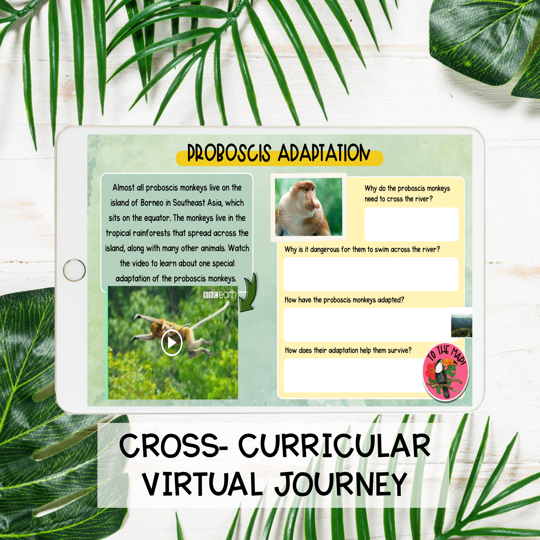 Rainforest Virtual Field Trip Activity Animal Adaptations Habitats Layers Amazon - Image 4