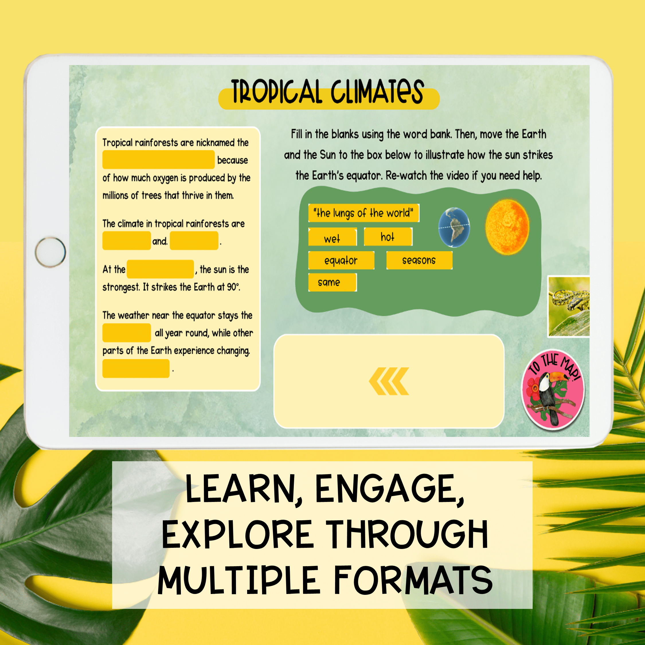 Rainforest Virtual Field Trip Activity Animal Adaptations Habitats Layers Amazon - Image 6