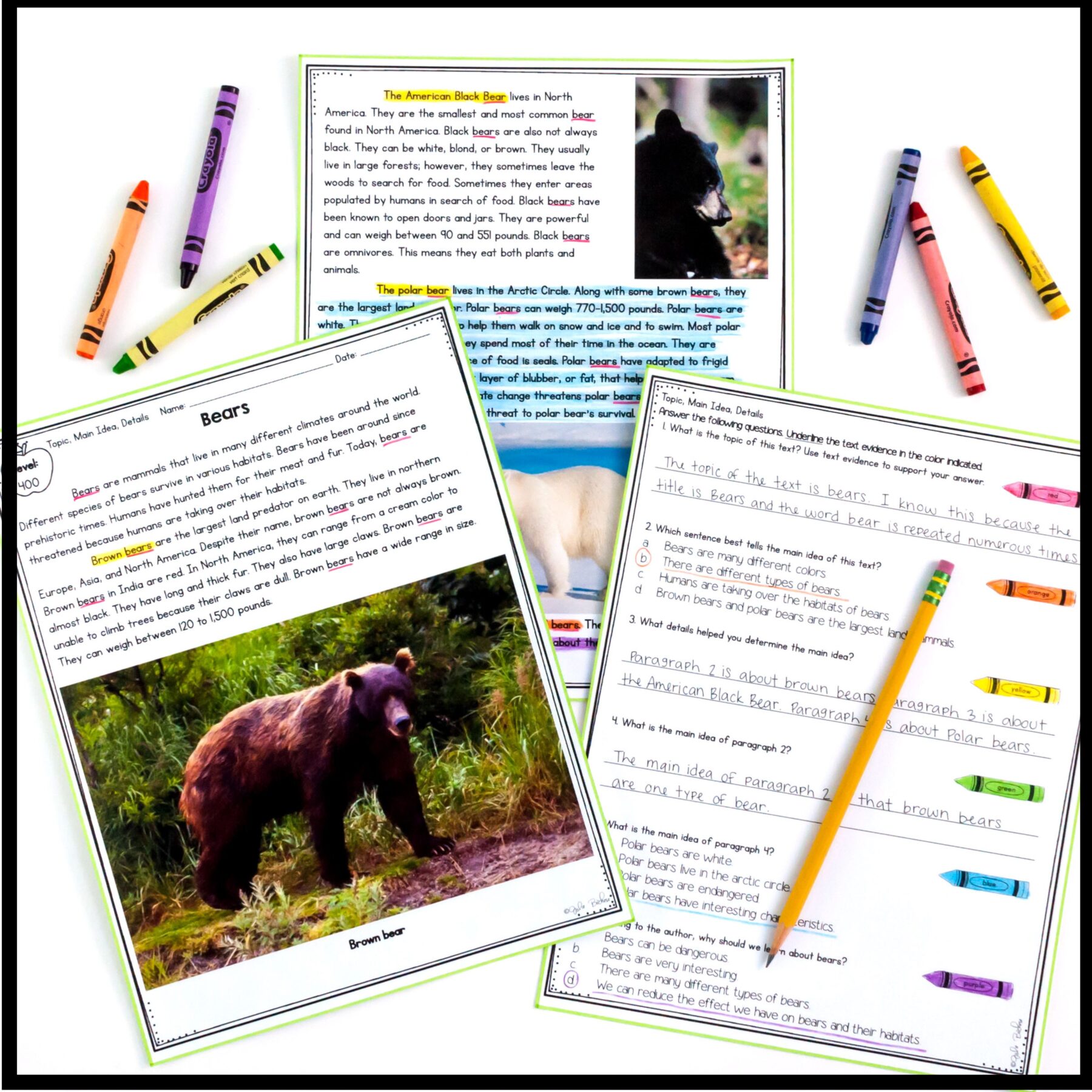Main Idea & Details 2nd & 3rd Grade Reading Comprehension Unit RI.2.2 & RI.3.2 - Image 11