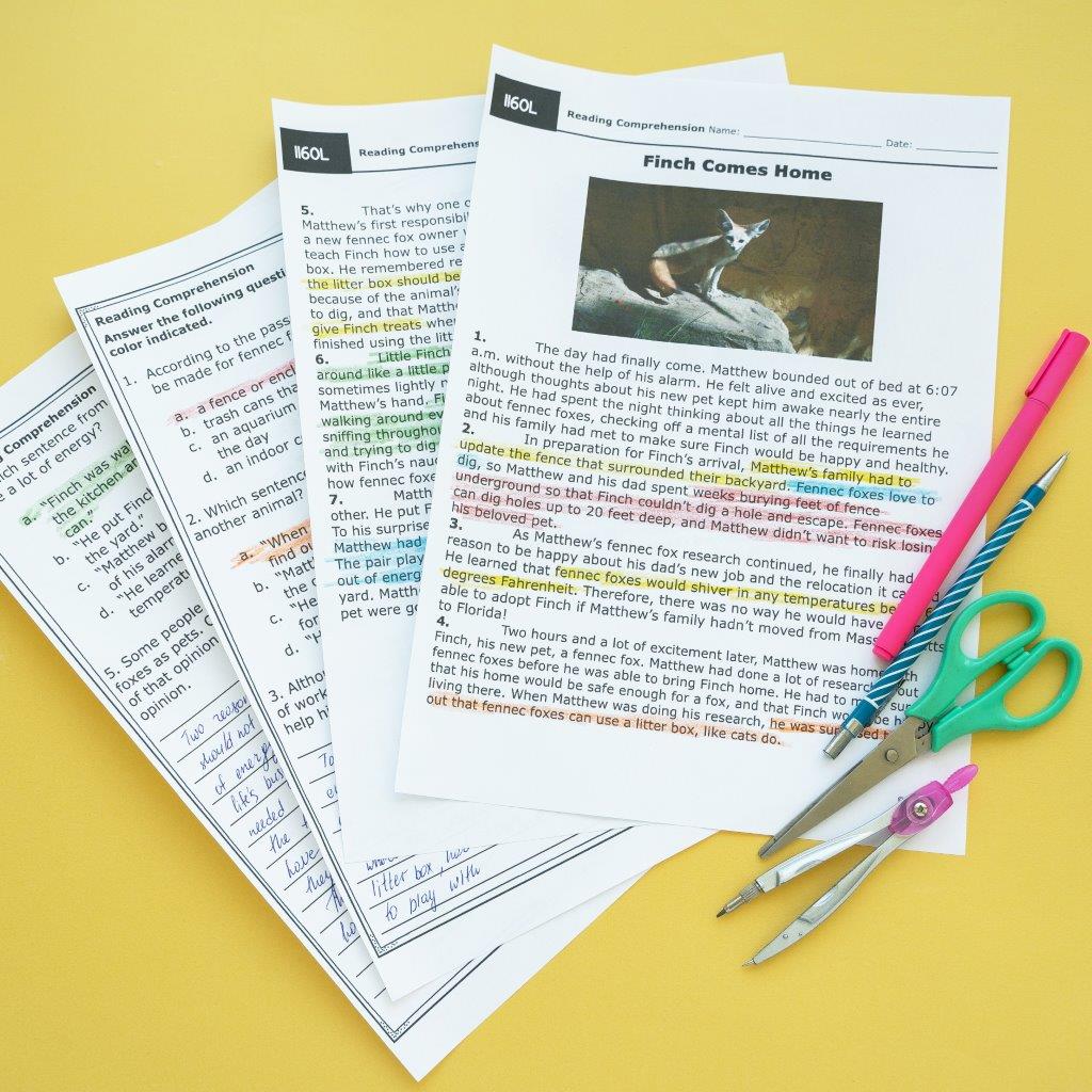 Literary Nonfiction Reading Comprehension - RI.6.10 - Reading Passages to RI6.10 - Image 3