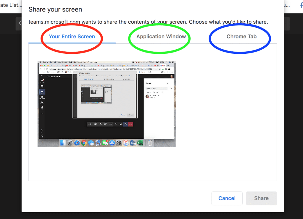 Screenshare Options Window